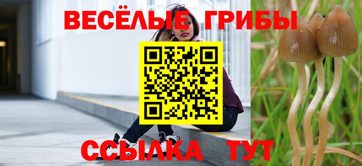 Псилоцибиновые грибы мухоморы  Вход с VPN  Михайловка 