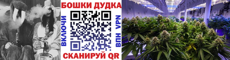МАРИХУАНА тримм как найти наркотики Михайловка